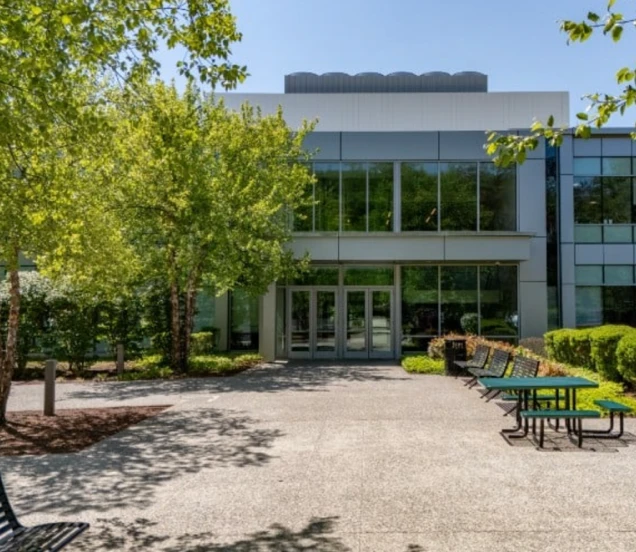 Sunny view of commercial property featuring glass doors, large windows, and green surroundings